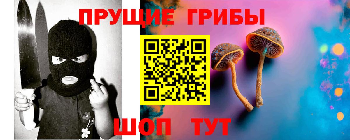 Арзамас  Галлюциногенные грибы мицелий  Вход с VPN 