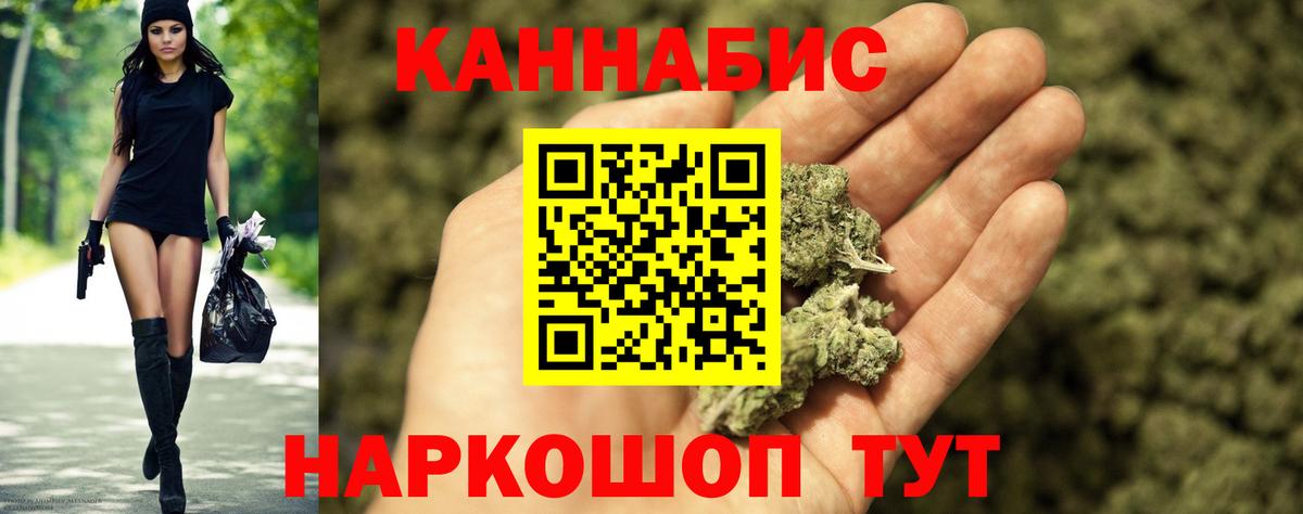 Конопля сатива Арзамас